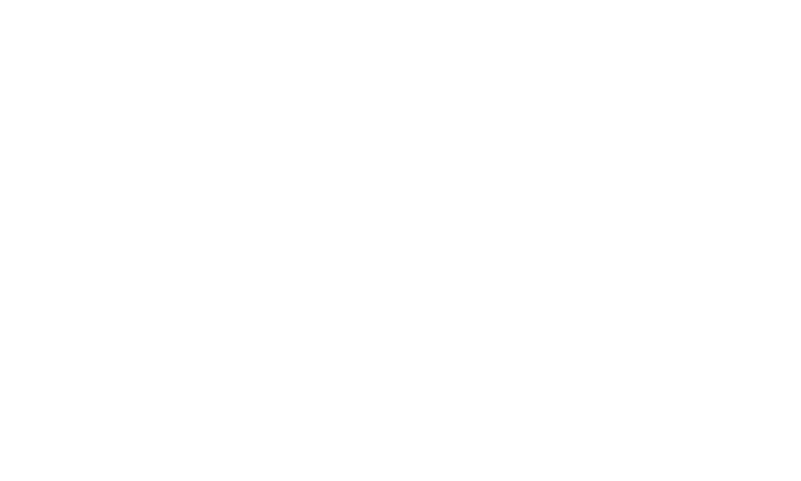 Logo Lotse Digital